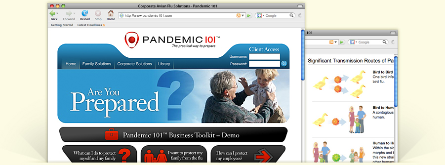 Pandemic 101
