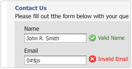 Real-Time Form Validation
